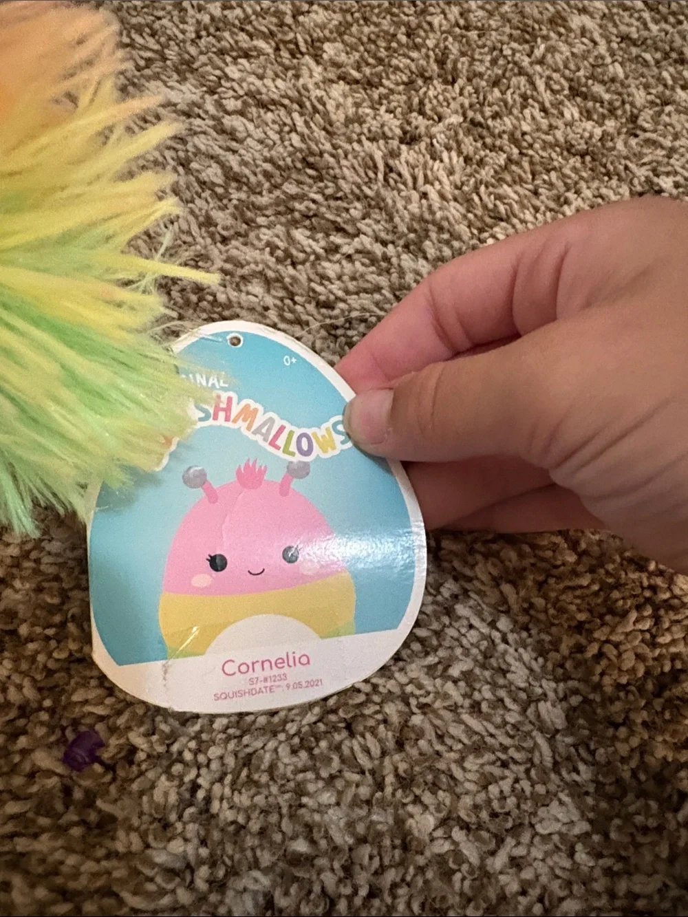 Squishmallows Rainbow Bug Plush - Pink, Yellow & Green